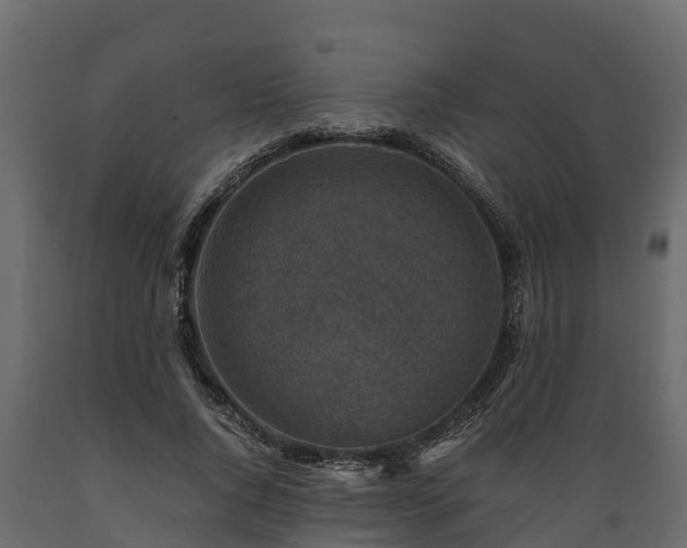 X0000089920736200707061019