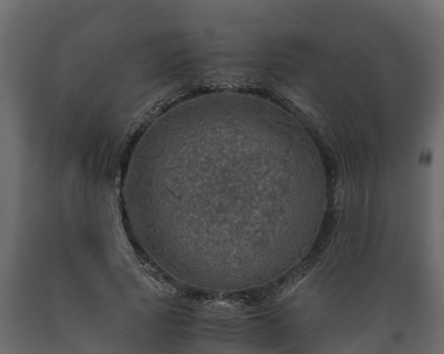 X0000089920737200707061019