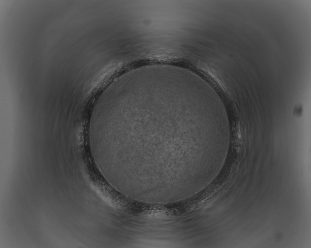 X0000089920738200707061019