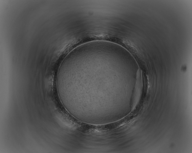X0000089920739200707061019