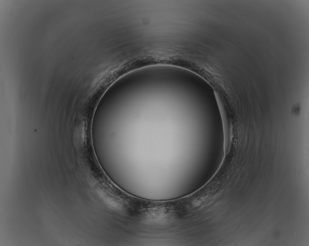 X0000089920740200707061019