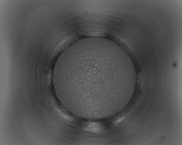 X0000089920741200707061019
