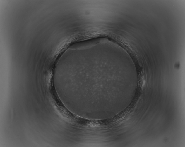 X0000089920742200707061019