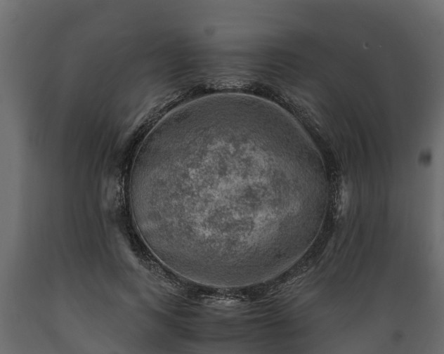 X0000089920743200707061019