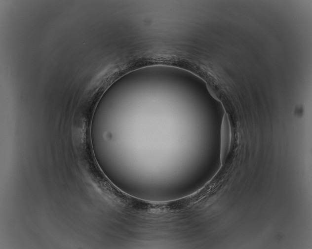 X0000089920744200707061019
