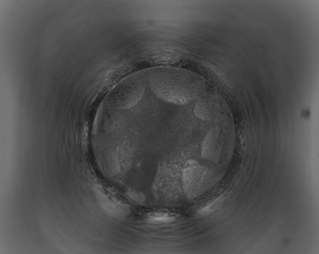 X0000089920745200707061019