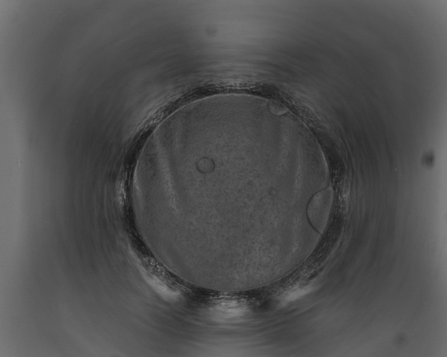 X0000089920746200707061019