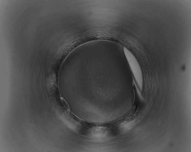 X0000089920748200707061019