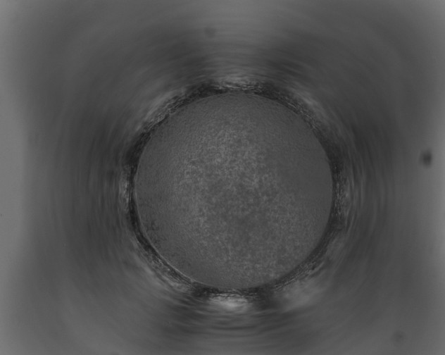 X0000089920749200707061019