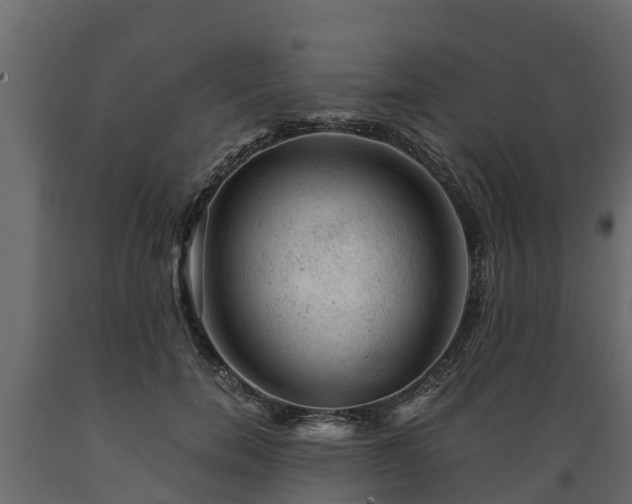 X0000089920750200707061019