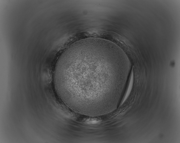 X0000089920751200707061019