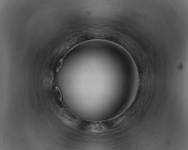 X0000089920752200707061019