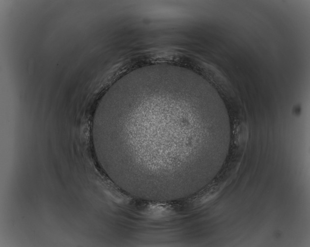 X0000089920753200707061019