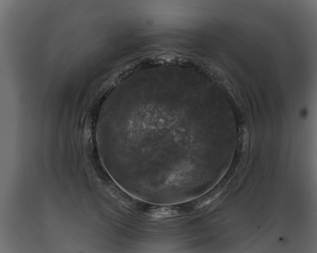 X0000089920754200707061019