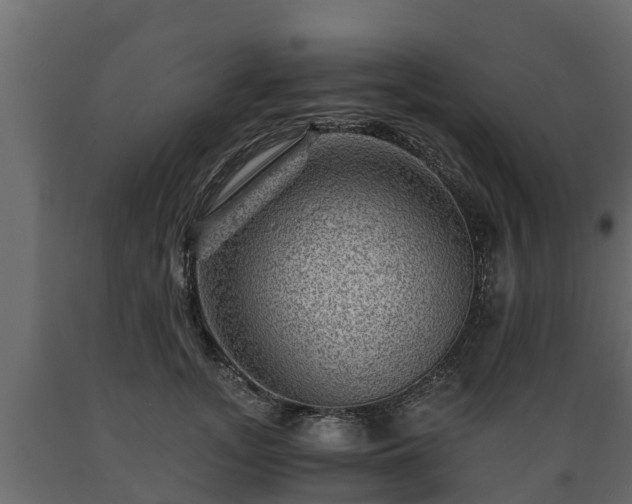 X0000089920755200707061019