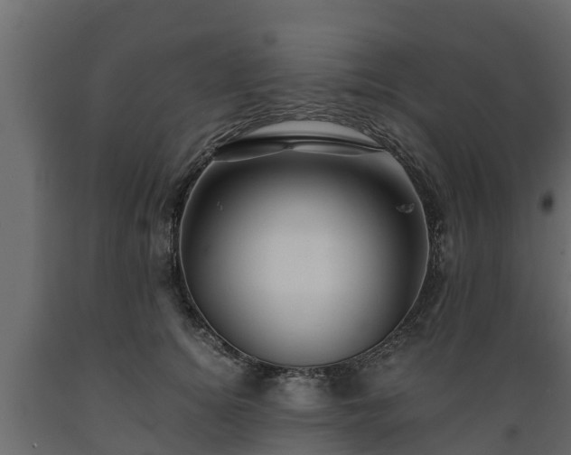 X0000089920756200707061019