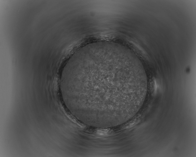 X0000089920757200707061019