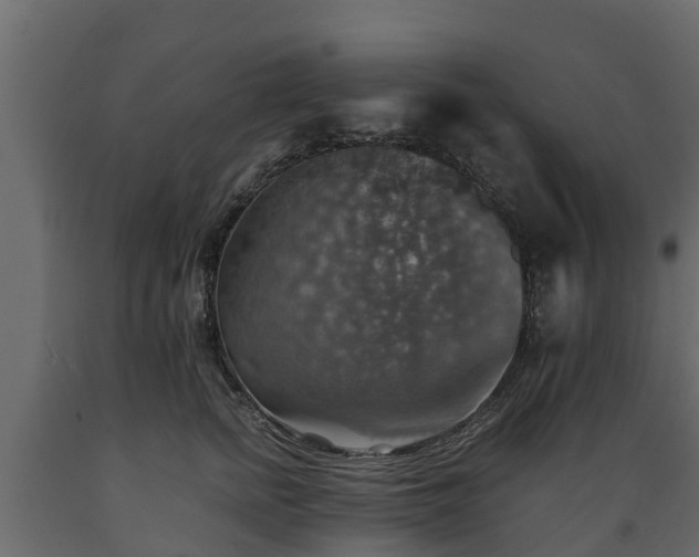 X0000089920758200707061019