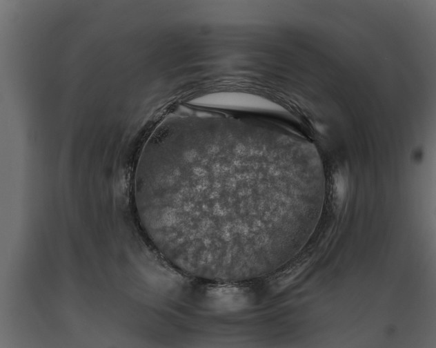 X0000089920759200707061019