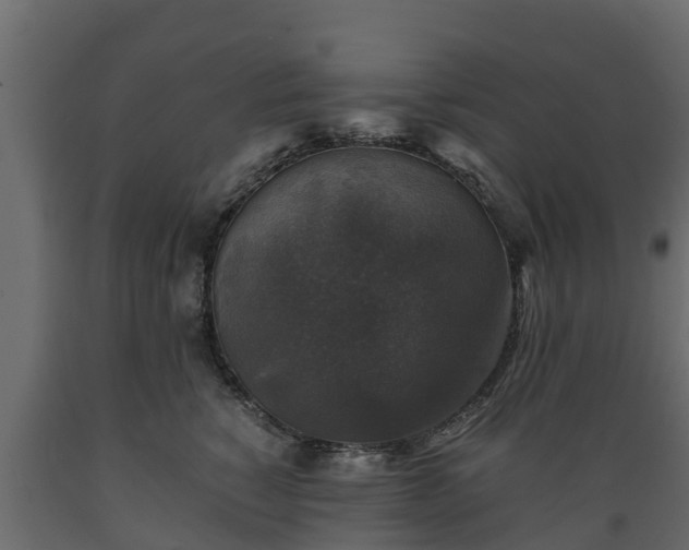 X0000089920760200707061019