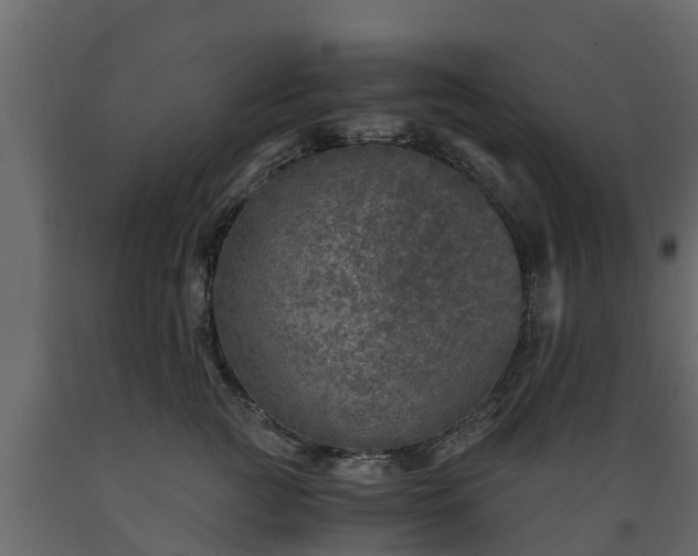 X0000089920761200707061019