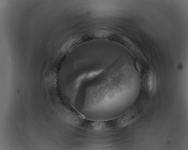 X0000089920762200707061019
