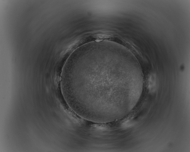 X0000089920763200707061019