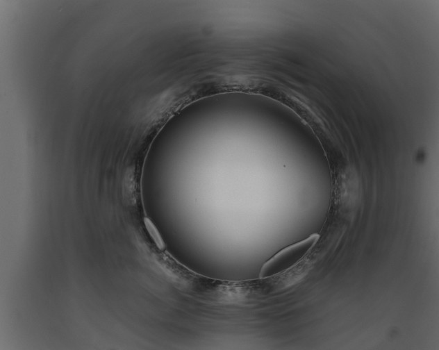 X0000089920764200707061019