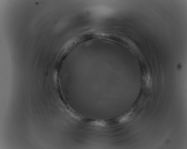 X0000089920765200707061019
