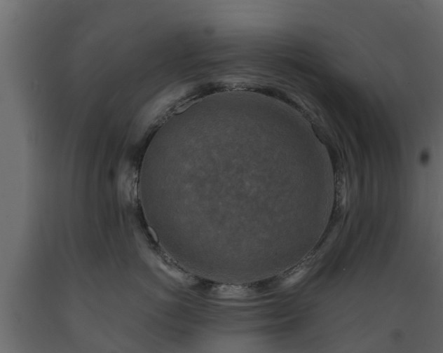 X0000089920766200707061019