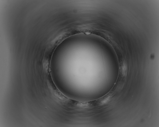 X0000089920767200707061019
