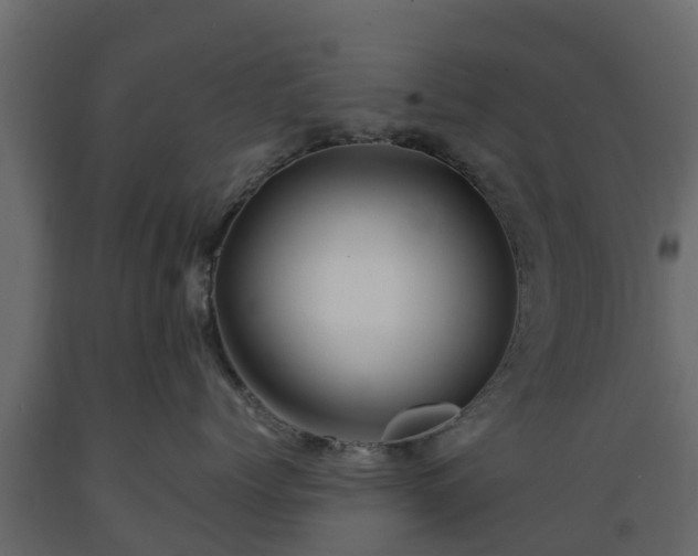 X0000089920768200707061019