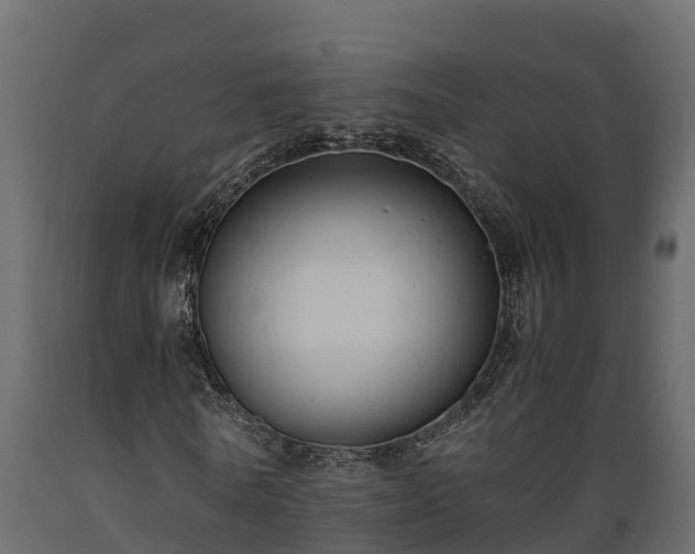 X0000089920770200707061018