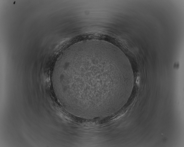 X0000089920771200707061018