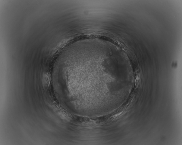 X0000089920772200707061018