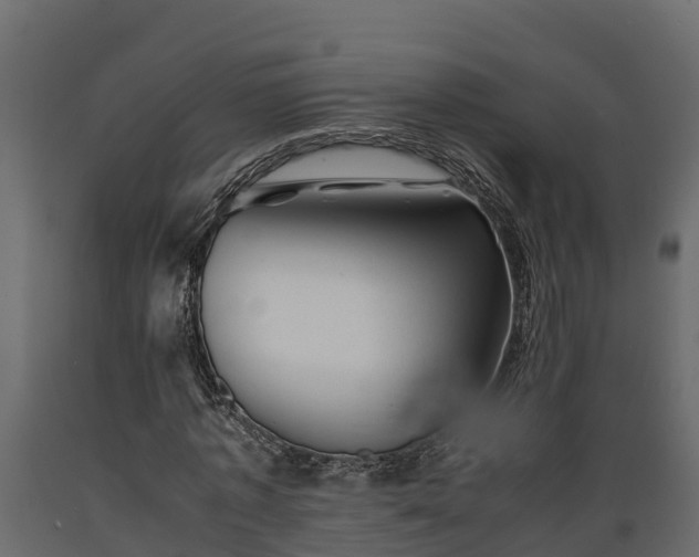X0000089920773200707061018