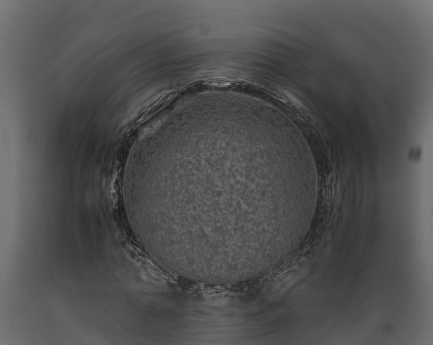 X0000089920774200707061018