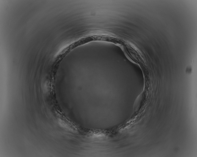 X0000089920775200707061018