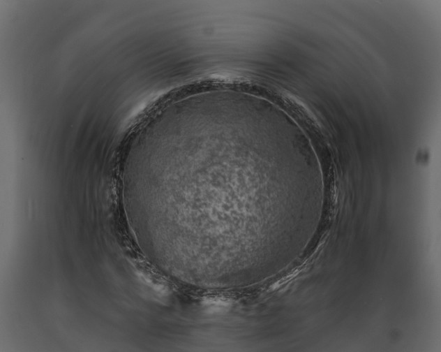 X0000089920776200707061018