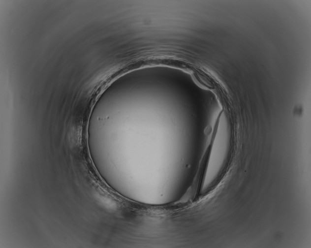 X0000089920777200707061018