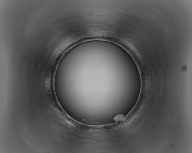 X0000089920778200707061018