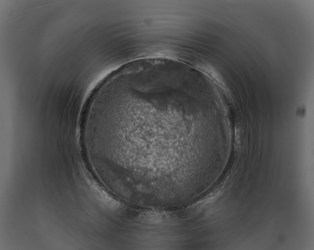 X0000089920780200707061018