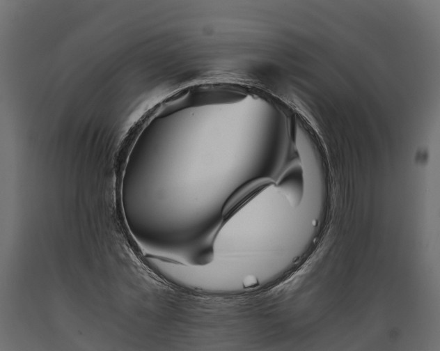 X0000089920781200707061018