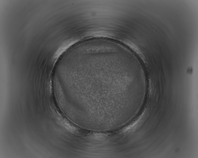 X0000089920782200707061018