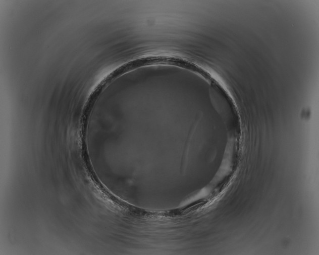 X0000089920783200707061018