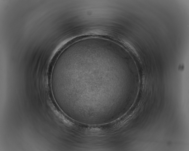 X0000089920784200707061018