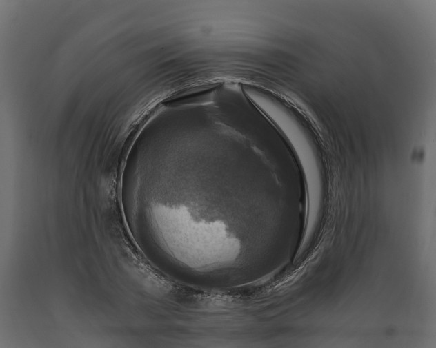 X0000089920785200707061018