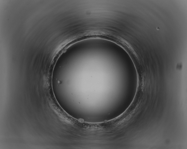 X0000089920786200707061018