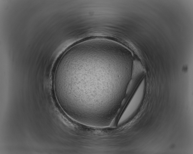 X0000089920787200707061018