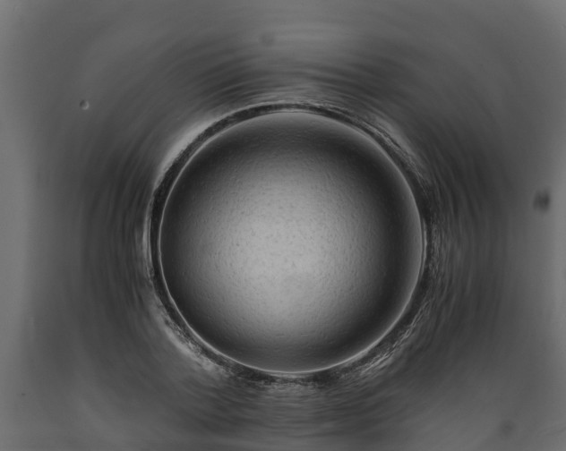 X0000089920788200707061018